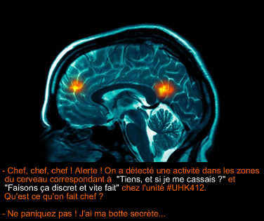 brain